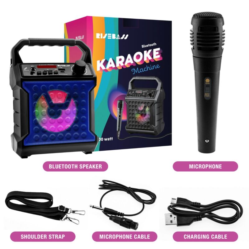 Portable Karaoke System